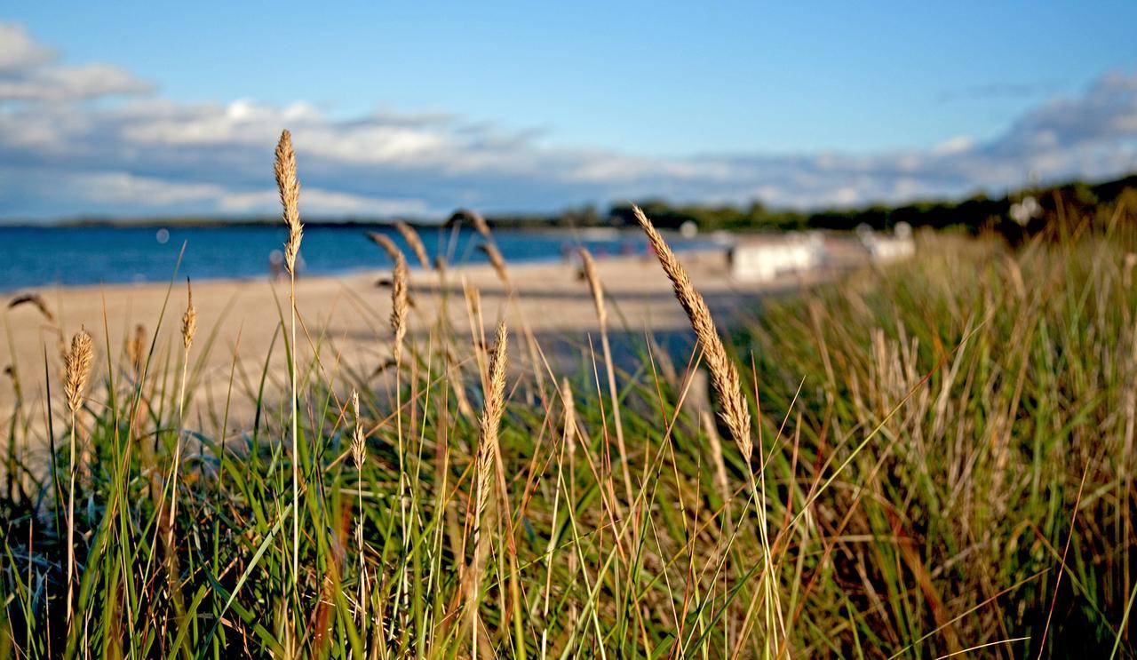 Fewo 7 Im "Haus Am Meer" Больтенхаген Экстерьер фото